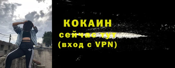 PSILOCYBIN Карталы
