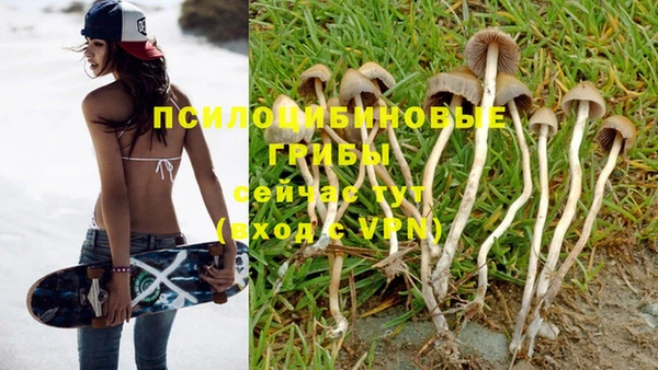 круглые Алексин